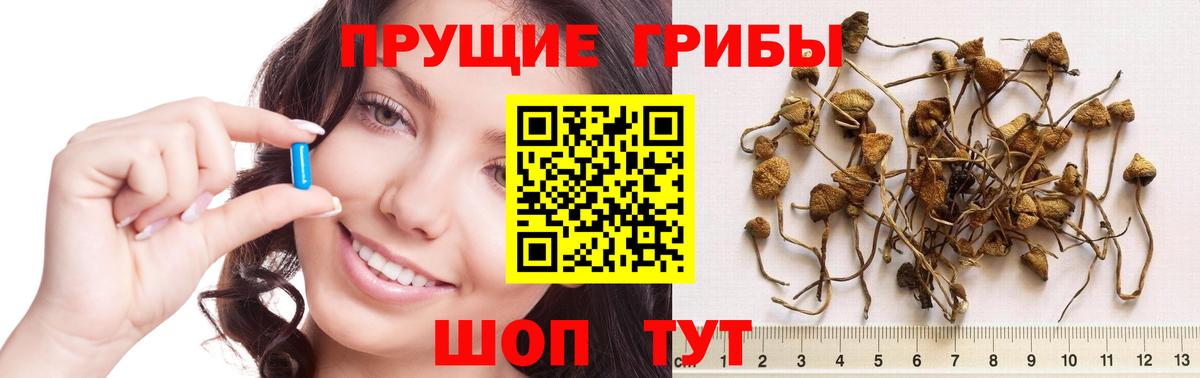 Псилоцибиновые грибы Magic Shrooms  Вход с VPN  Ревда 
